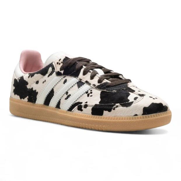 WhatsApp Image 2026-03-09 at 19.00.17